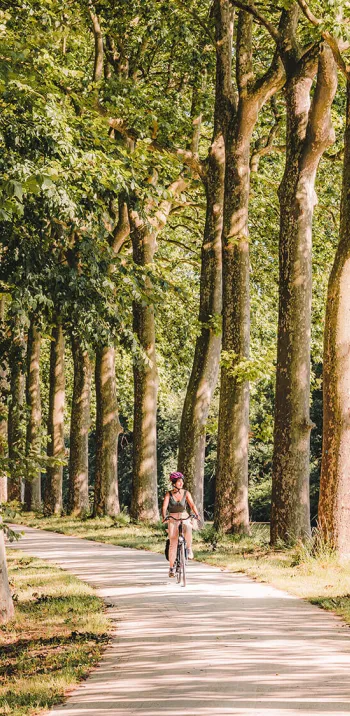 Haute Garonne, Sud de Toulouse