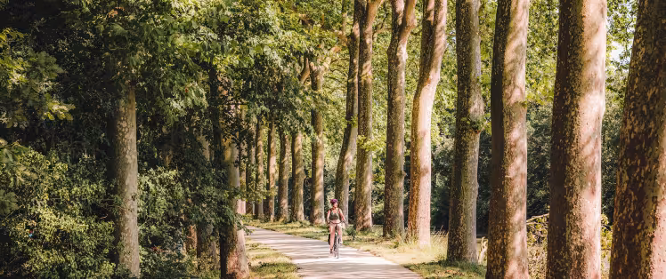 Haute Garonne, Sud de Toulouse