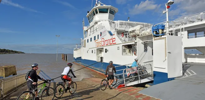 Les vignobles du Médoc à vélo : Blaye / Bordeaux