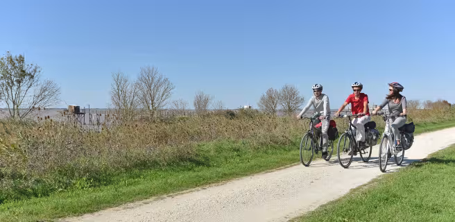 L'estuaire de la Gironde à vélo : Mortagne-sur-Gironde / Vitrezay